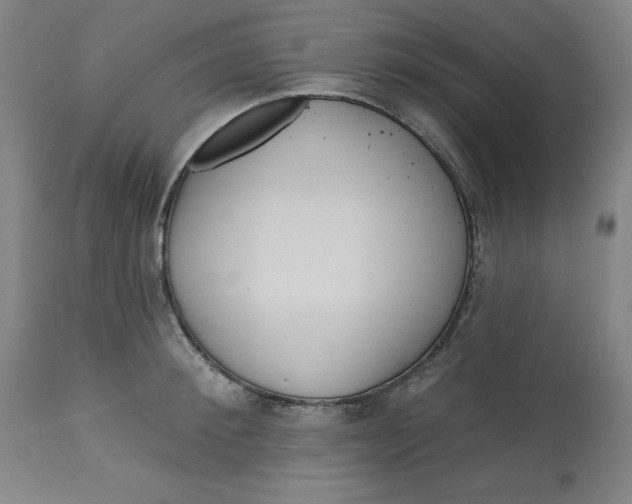 X0000113130900200909251237