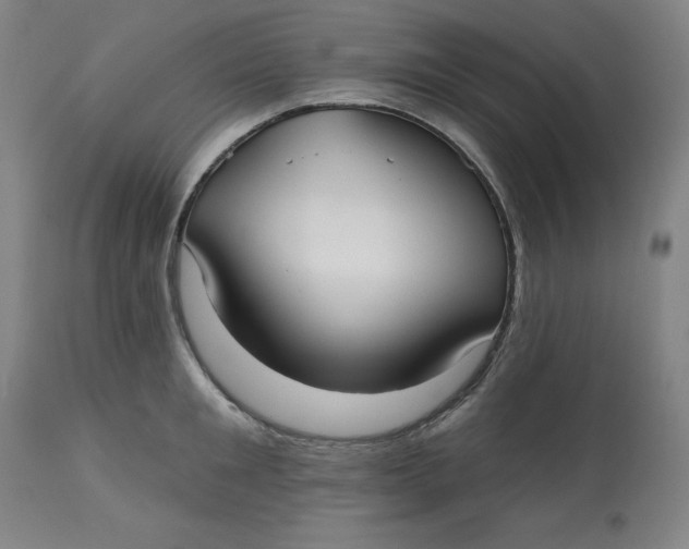 X0000113130901200909251236