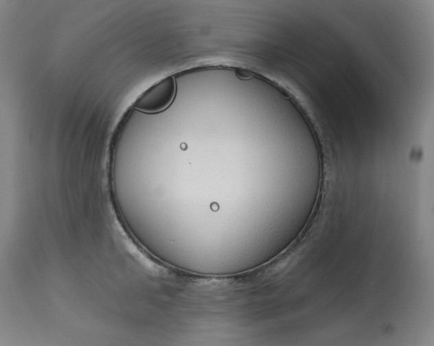 X0000113130902200909251236