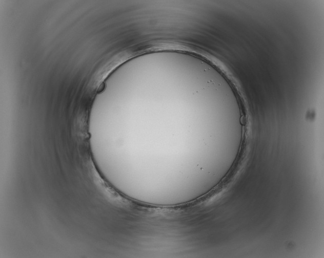 X0000113130905200909251236