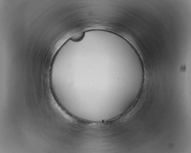 X0000113130906200909251236