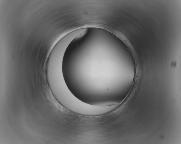 X0000113130908200909251236