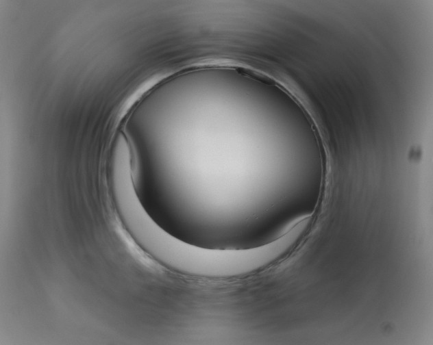 X0000113130909200909251236