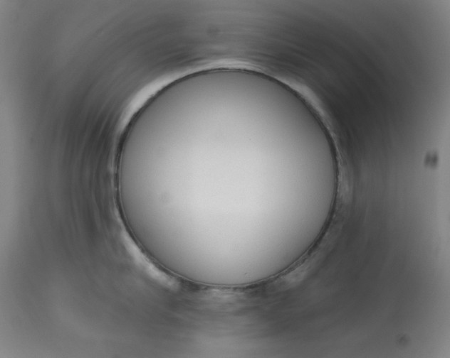 X0000113130910200909251236