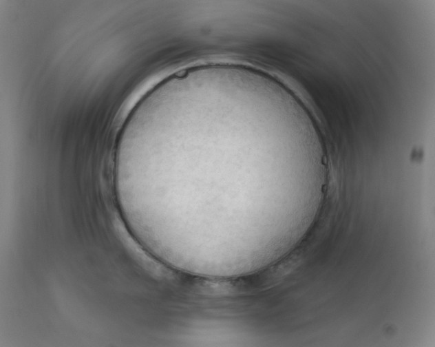 X0000113130911200909251236