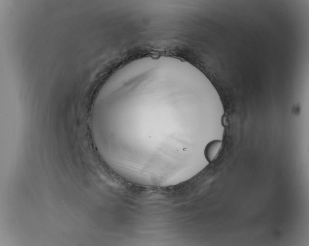 X0000113130913200909251236