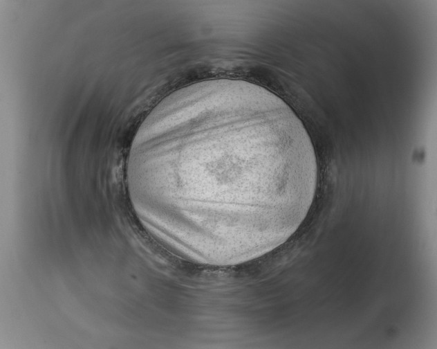 X0000113130914200909251236