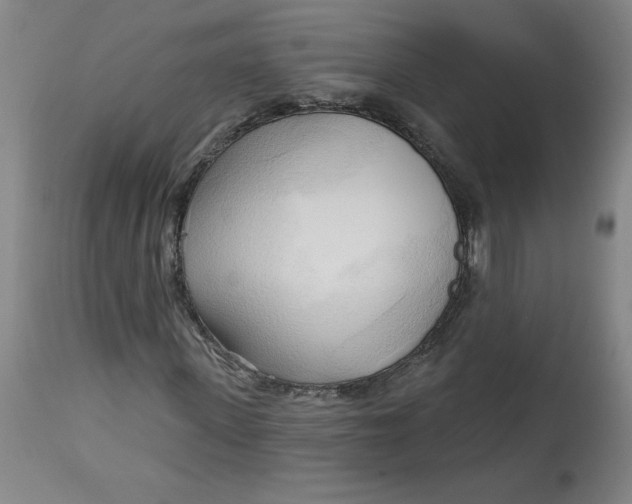 X0000113130915200909251236