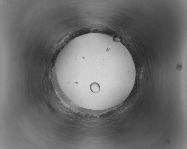 X0000113130916200909251236