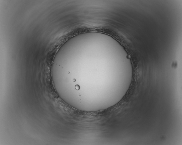 X0000113130917200909251236