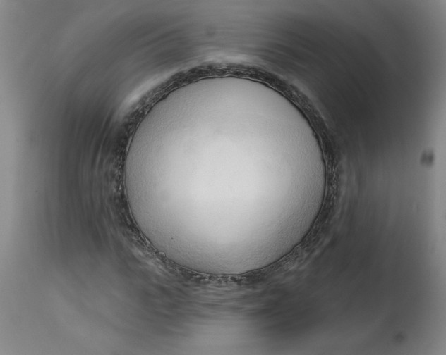 X0000113130919200909251236