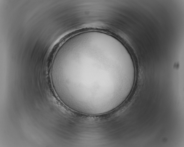 X0000113130923200909251236