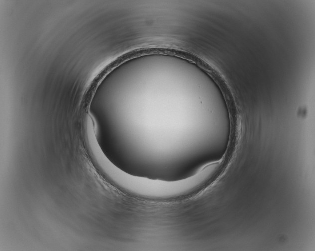 X0000113130925200909251236