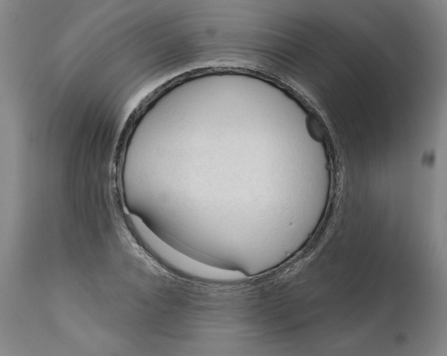 X0000113130928200909251236