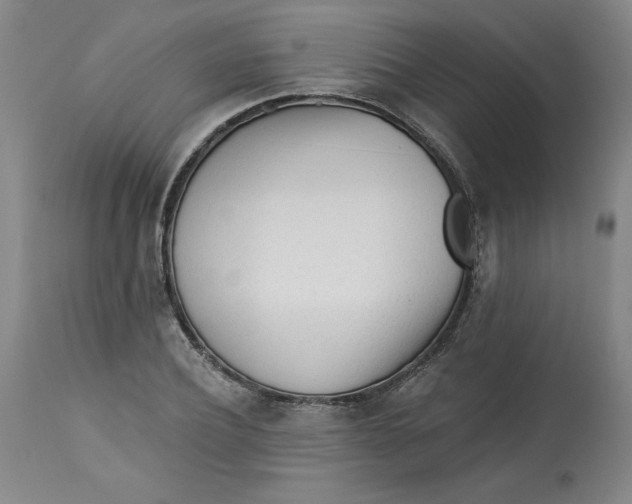 X0000113130932200909251236