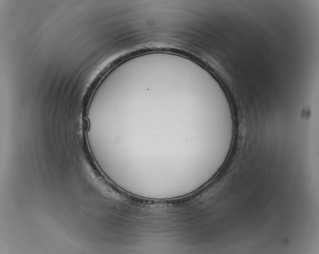 X0000113130934200909251236