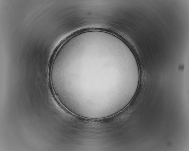 X0000113130935200909251236