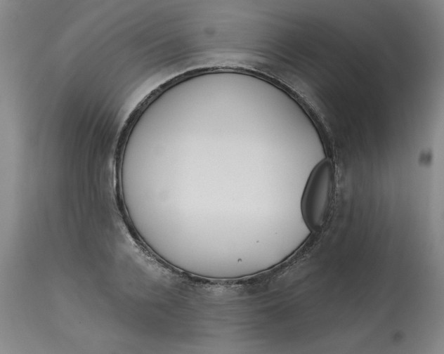 X0000113130936200909251236