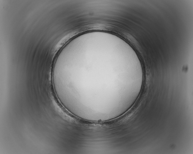 X0000113130938200909251236