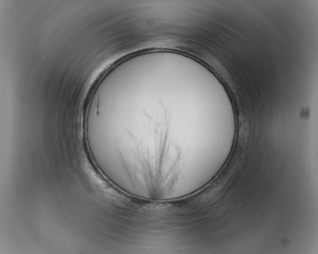 X0000113130939200909251236