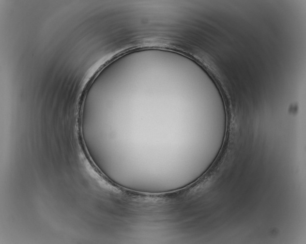 X0000113130941200909251236