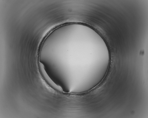 X0000113130942200909251236