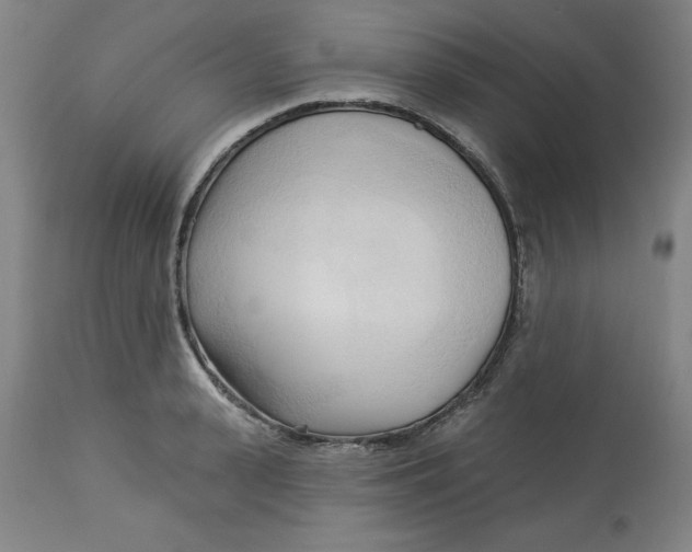 X0000113130943200909251236