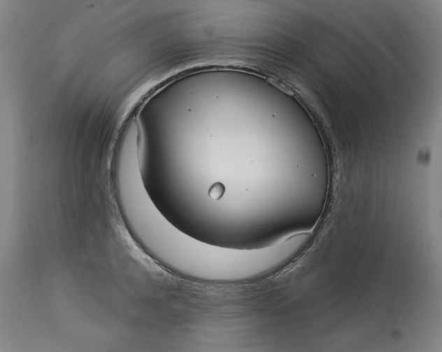 X0000113130944200909251236