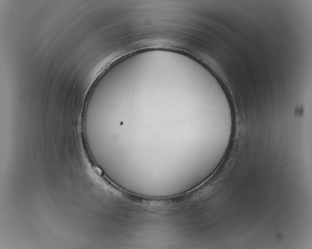 X0000113130946200909251236