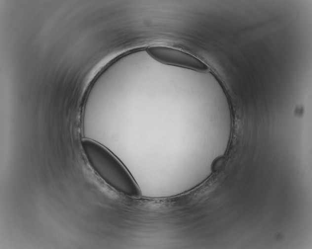 X0000113130948200909251236