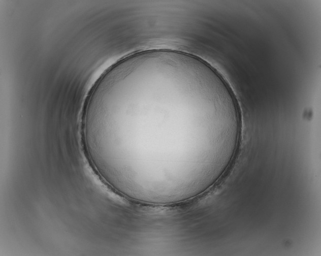 X0000113130949200909251236