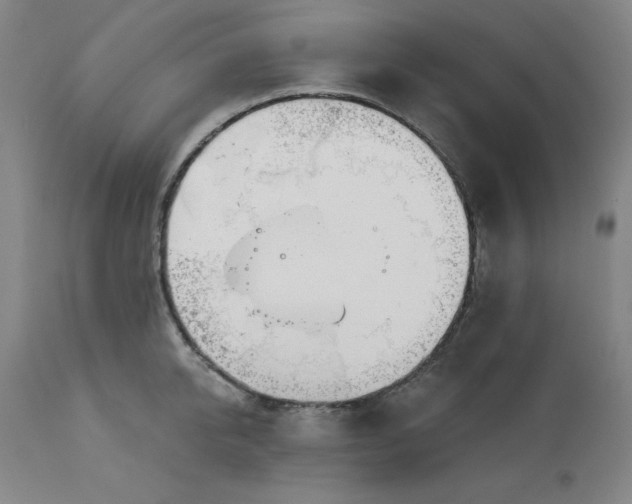 X0000113130950200909251236