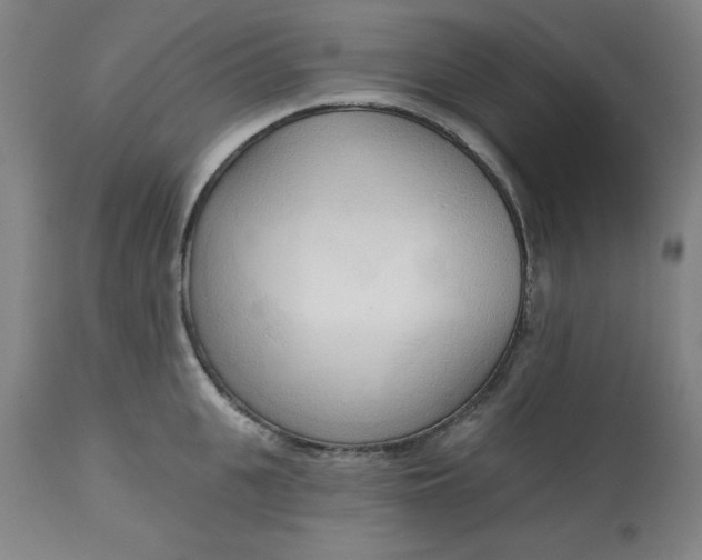 X0000113130951200909251236