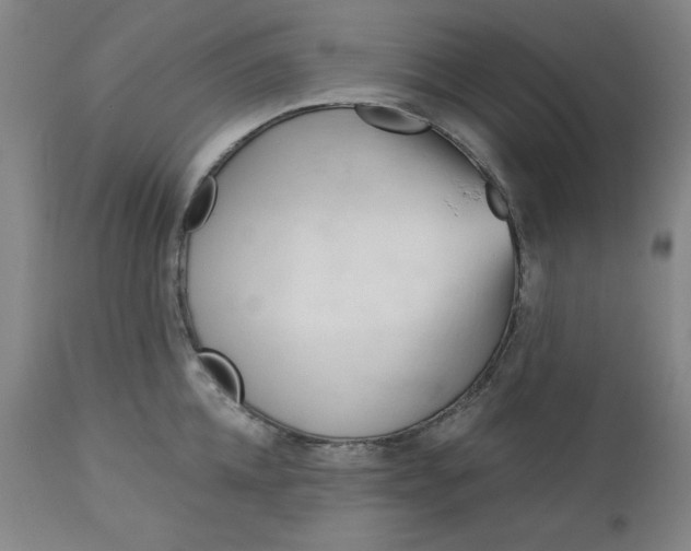 X0000113130952200909251236