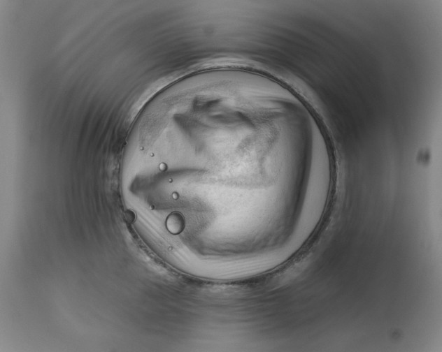 X0000113130953200909251236