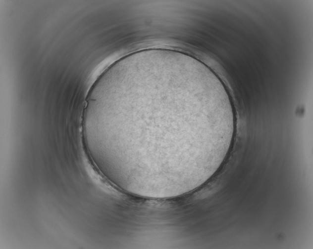 X0000113130954200909251236