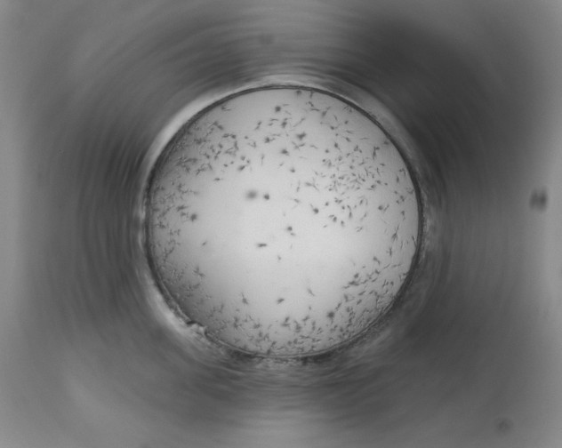 X0000113130955200909251236