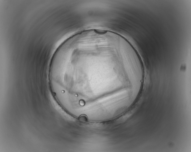 X0000113130957200909251236