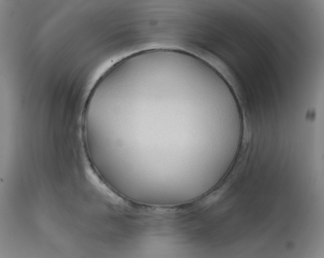 X0000113130958200909251236