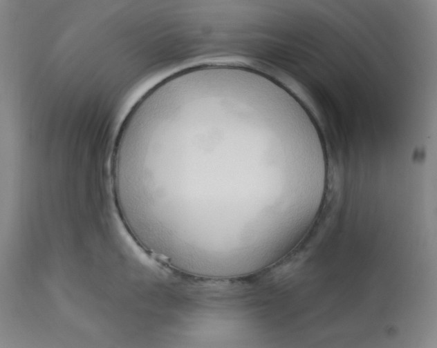 X0000113130959200909251236