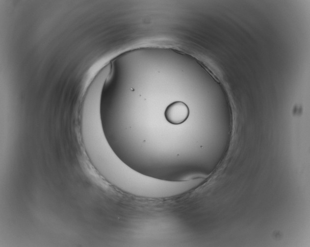 X0000113130960200909251236