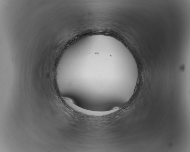 X0000113130961200909251236