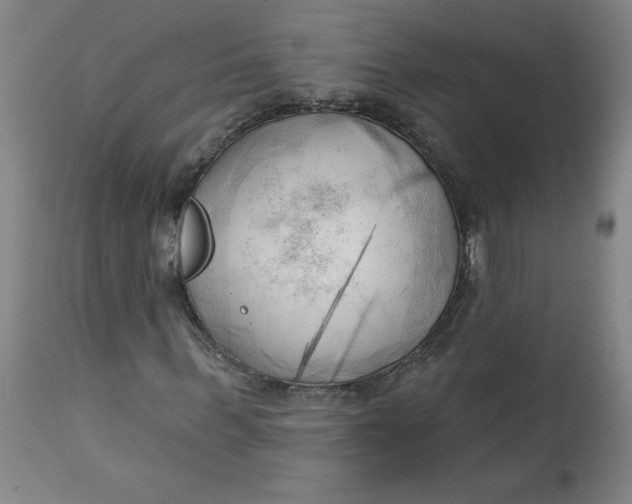 X0000113130963200909251235