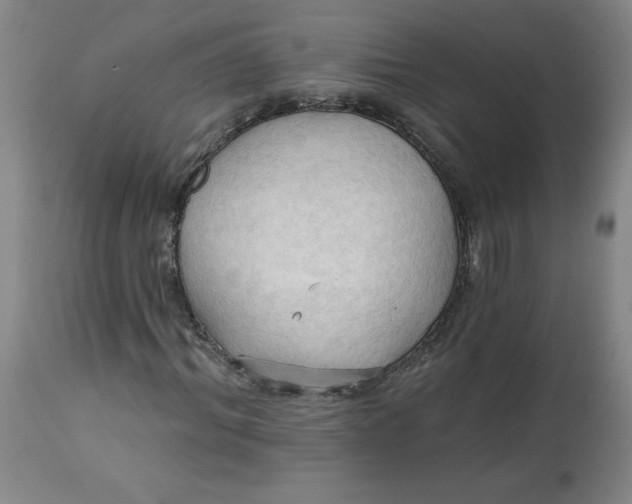 X0000113130964200909251235