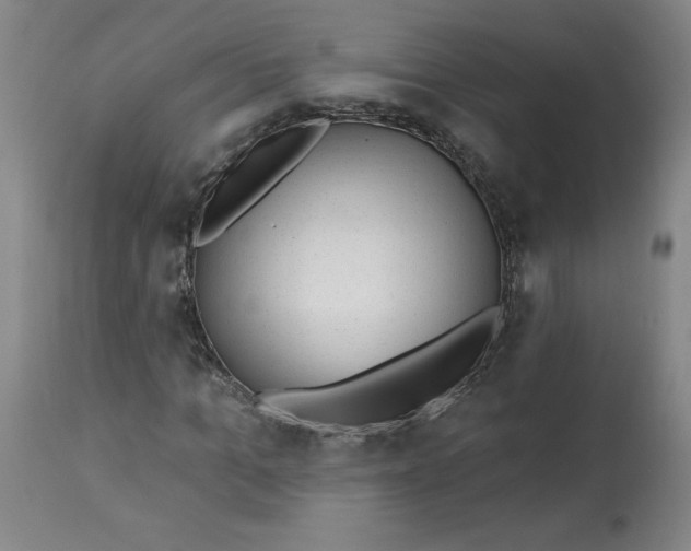 X0000113130965200909251235