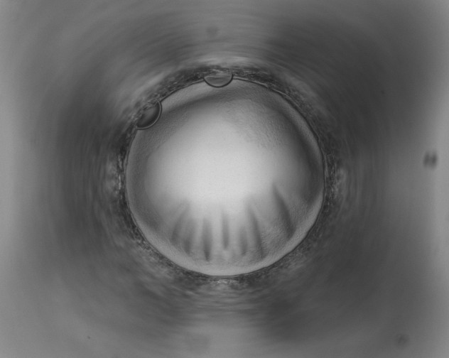 X0000113130966200909251235