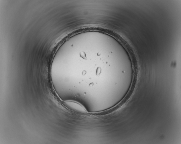 X0000113130969200909251235