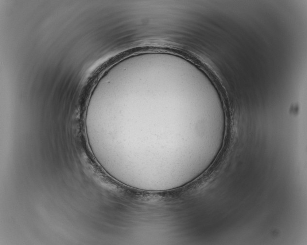 X0000113130971200909251235