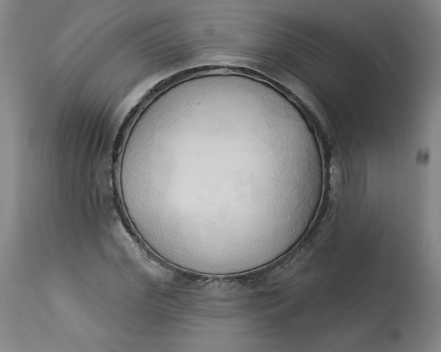 X0000113130972200909251235