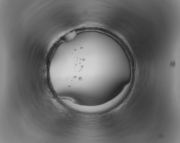 X0000113130973200909251235